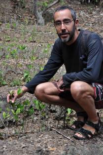 Examinando plantação de coca em Coroico, região dos yungas, na Bolívia